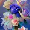 www.tiktok.comusernam28