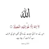 saniasaeed1111