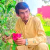 shahbaz4787