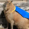 hero_capybarq