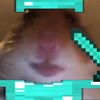 splayix