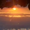 upsidedownsunsets