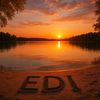 edi_528