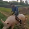 vrot_tebya_ebat