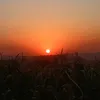 parana