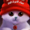 hh_1ll