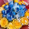 user16flaquita