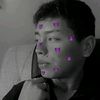 linmer2002