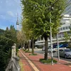 _tranbaotram_94