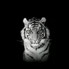 pavithra.03