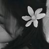 na.whn
