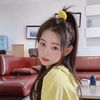 Li Xiaoye