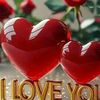 user8498600678272fjk