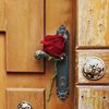 sara.khaled87
