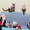 thegrumpyfam