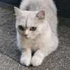 terokar