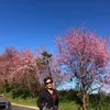 nguyenph30