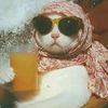 heabtallrawashdehgmail.c