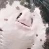 rxrdw_