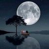 alialhdar_king8