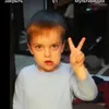 mjvini7