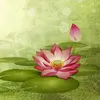 vohoanglinh_91