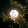 mostafa_fathy8