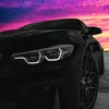 warion_06