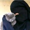lilya_rayan