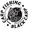 blackcarp7