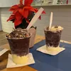 ritabpmaia_