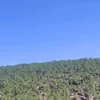 uyxyig
