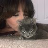 kittisep
