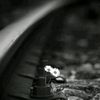 tahsin.402