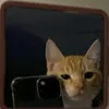 eumesm0kakjkkkk