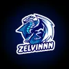 zelvinnn.company