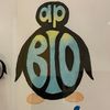 AP Bio Penguins Insta-Review