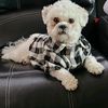 handsomecooper1