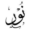 nourtansafwat