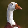 goose11120