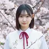 一ノ本菖蒲