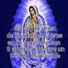 sanleo245