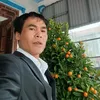 danhcao84