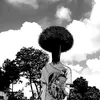 iwakura_sape
