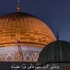 hodasaleh7815