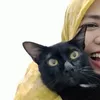 qumi67