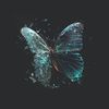 butterflyofficial001
