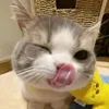 dhthagtien_