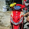 mioping12