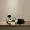 suppertabark